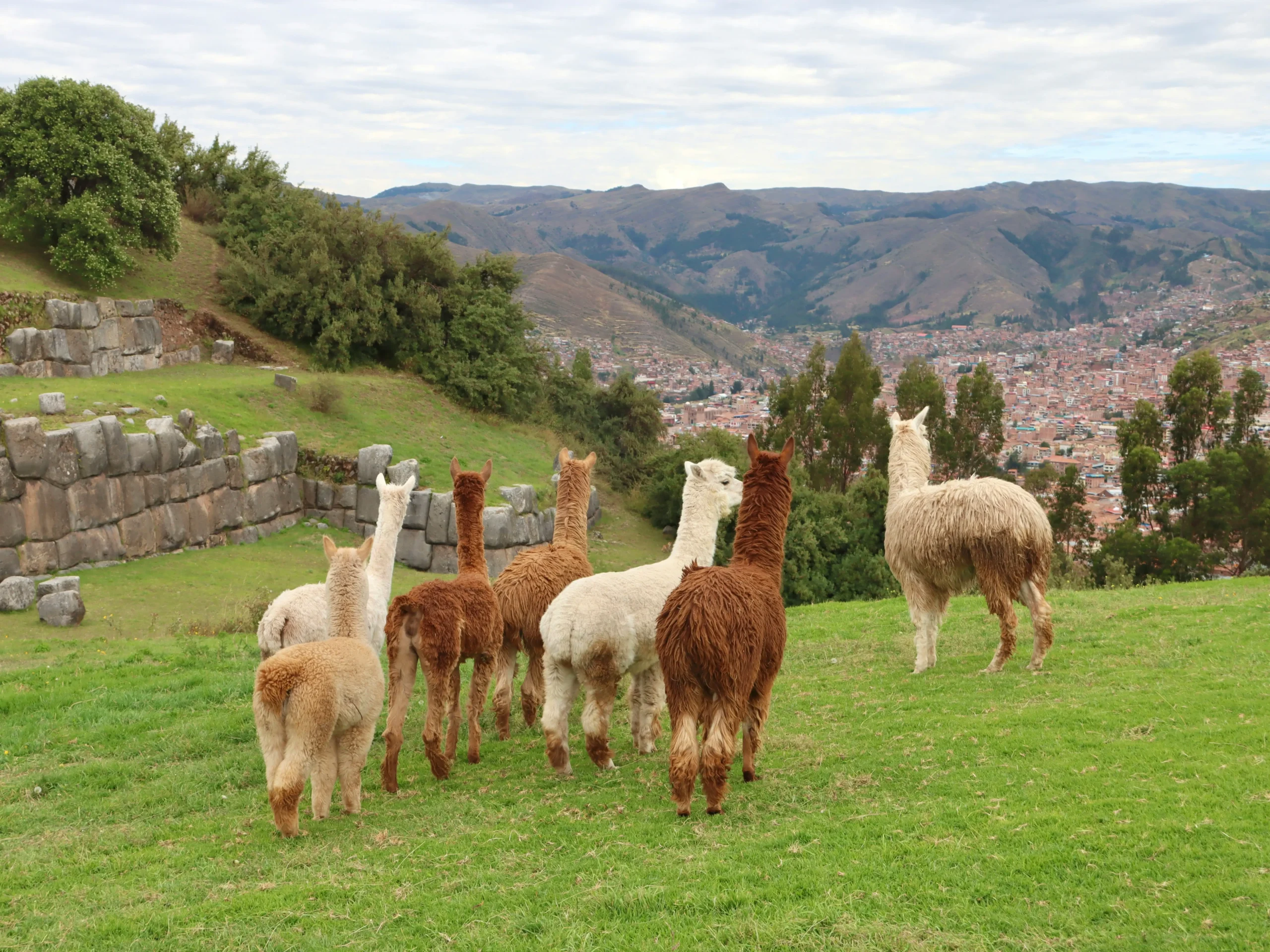 Salkantay Trek Cusco