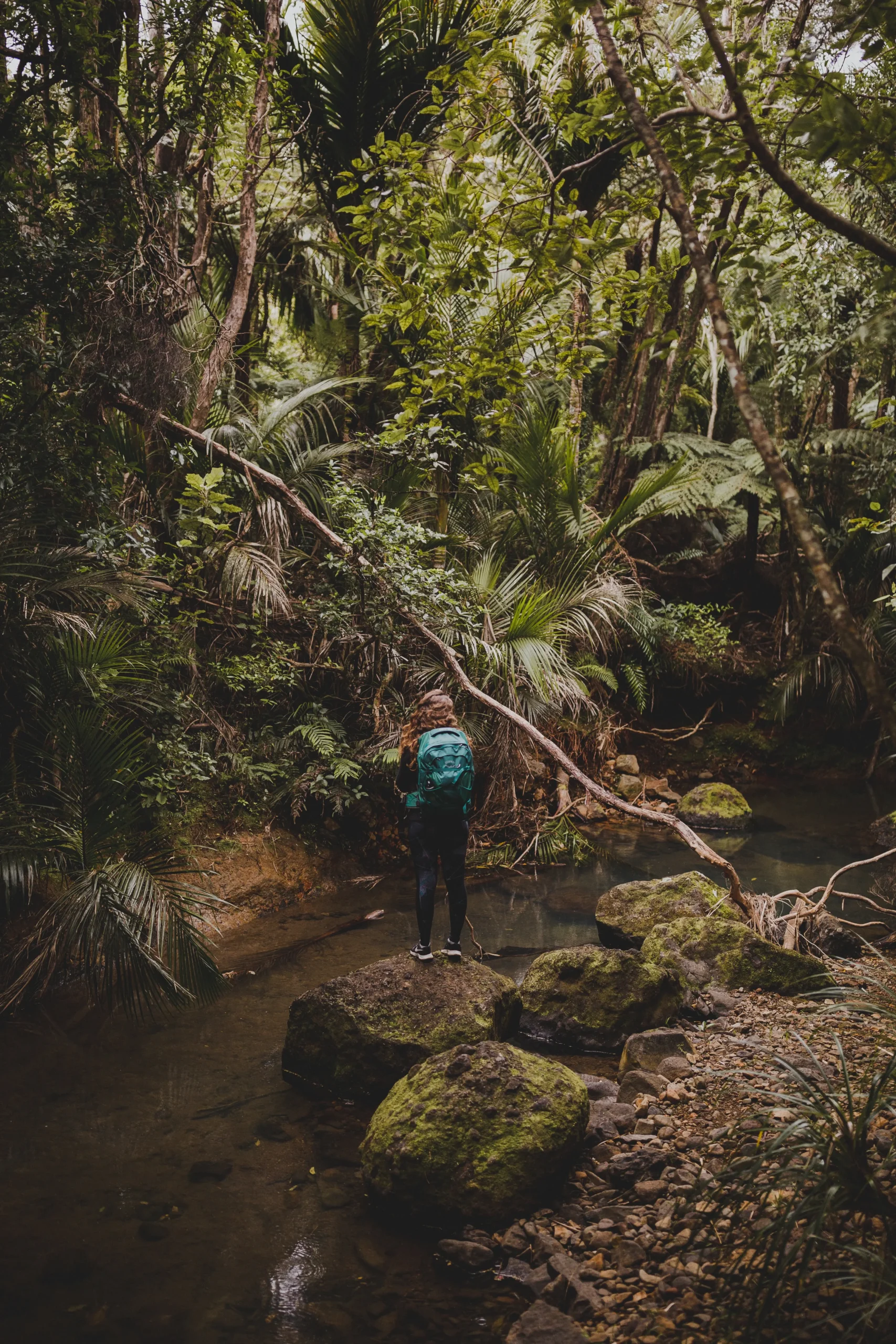 Inca Jungle Trek Cusco - Kristencia Journey Adventures