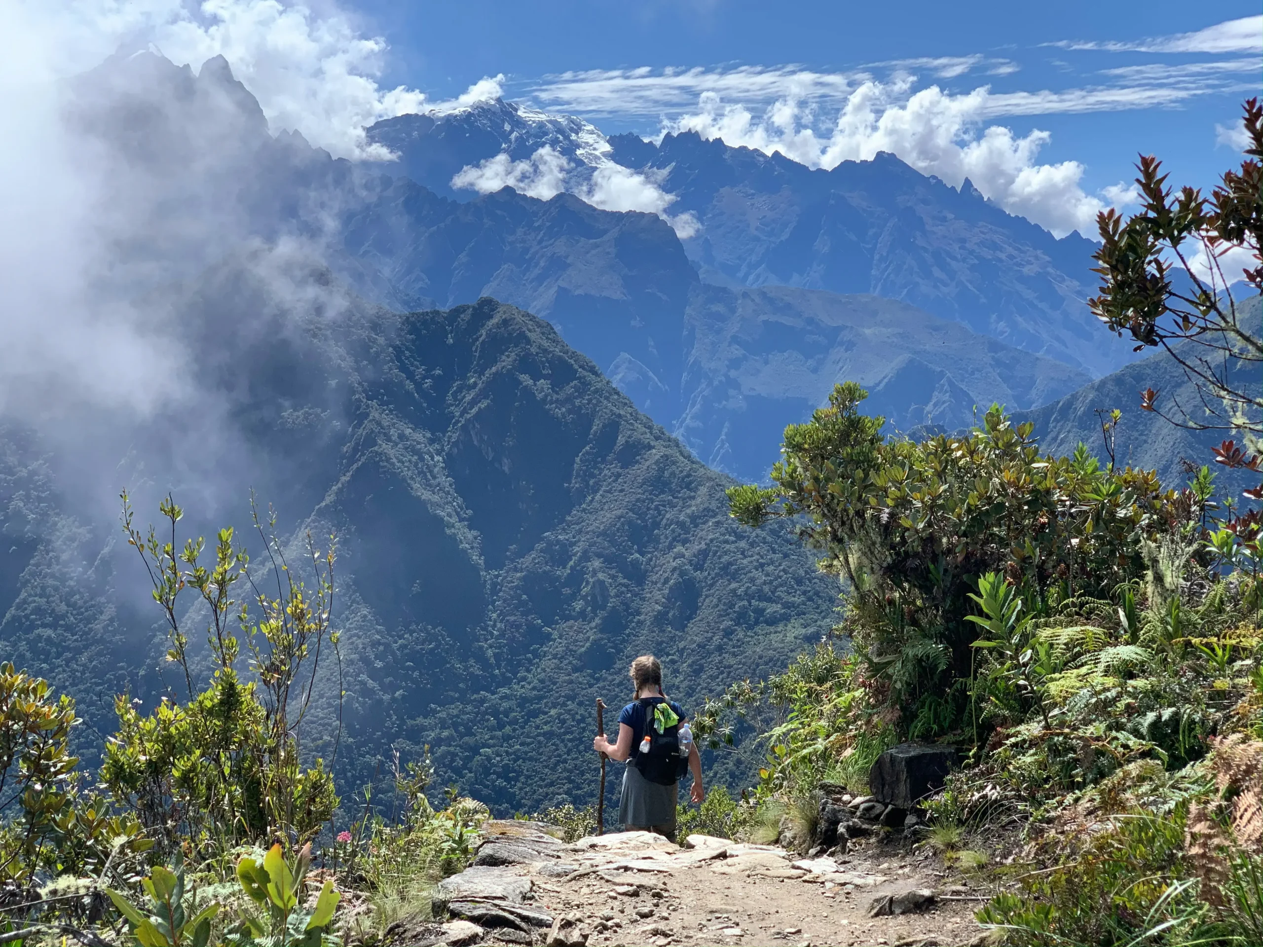 Selva alta Inca Jungle