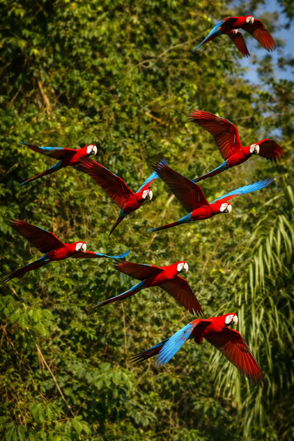 Reserva Natural del Manu - Kristencia Journey Adventures