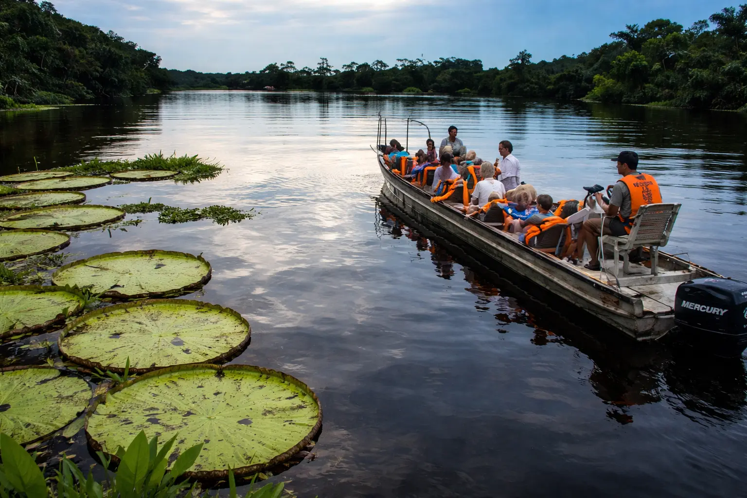 Ayahuasca selva Perú