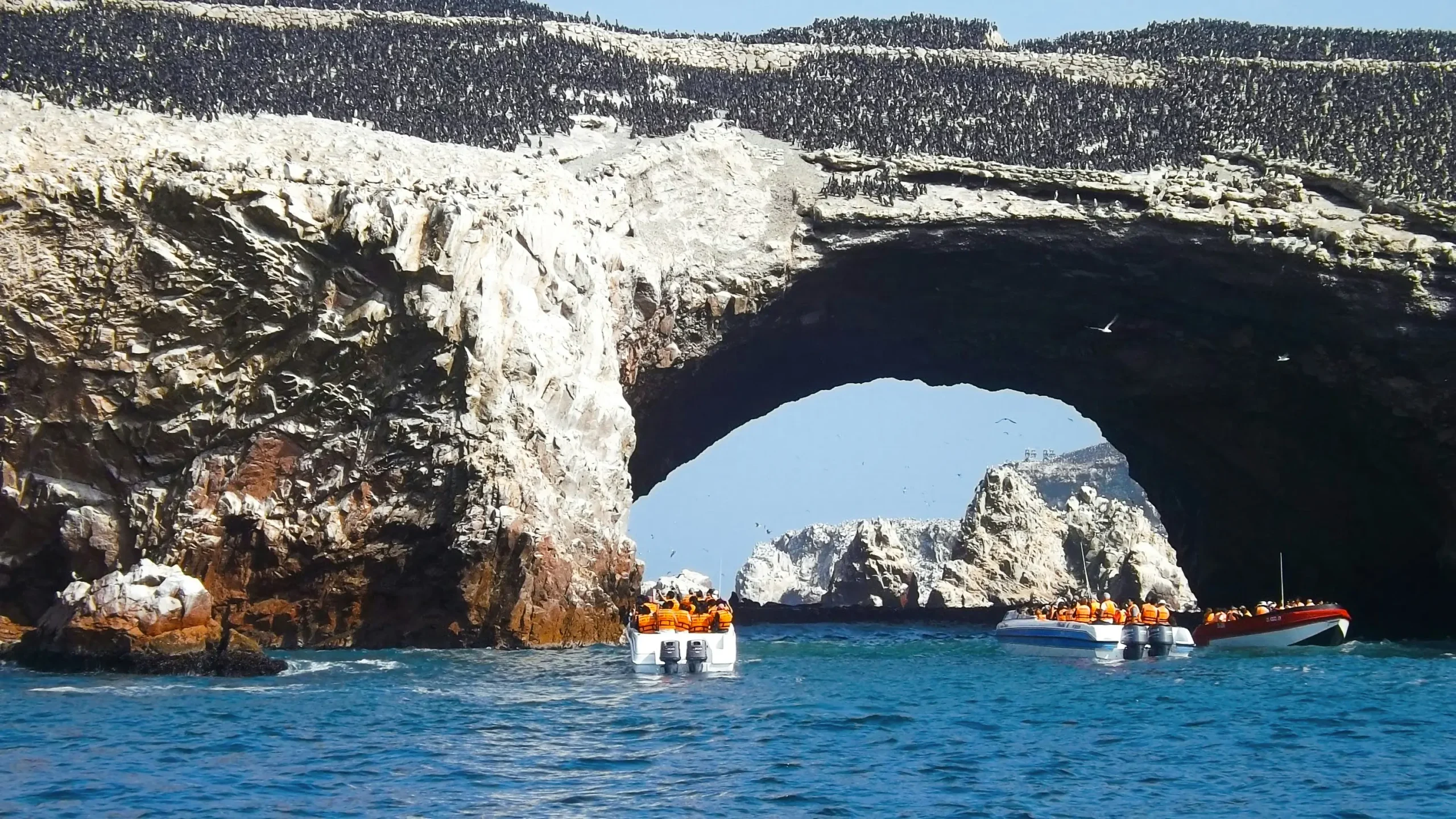 Islas Ballestas pingüinos lobos marinos Paracas