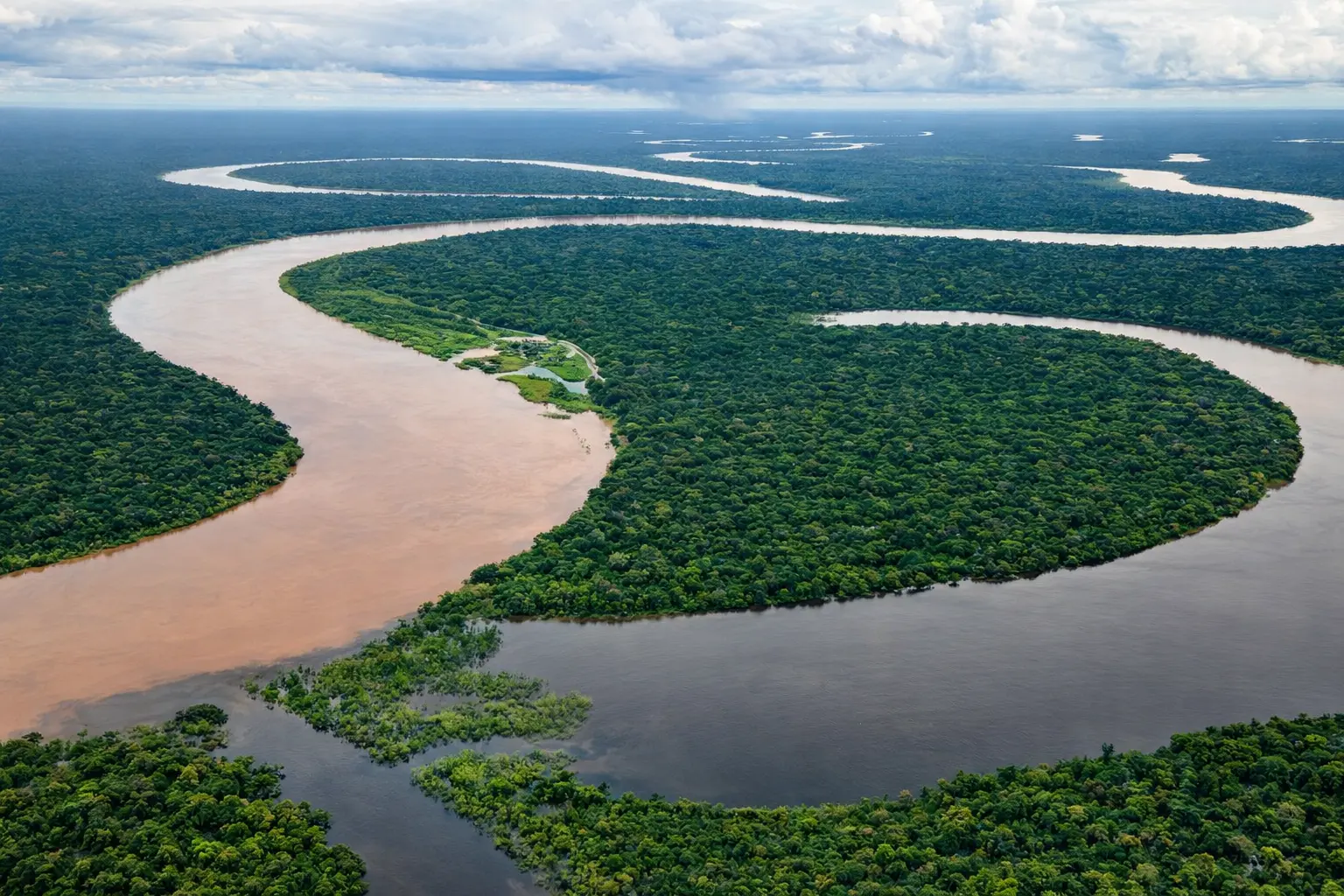 Río Amazonas delfines rosados Iquitos mercado Belén